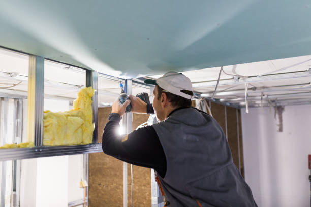 Best Eco-Friendly Insulation in USA